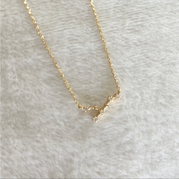 Wanderlust & Co Zodiac Necklace - Picture 3 of 13